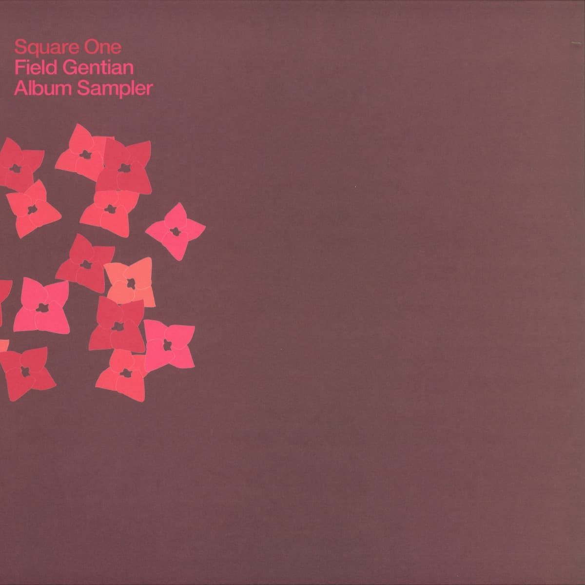 Field Gentian Album Sampler