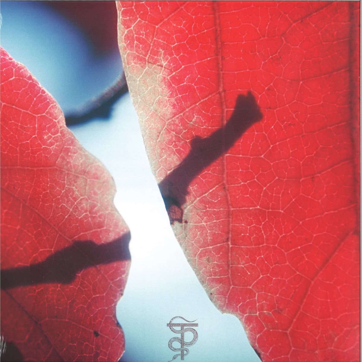 The Fine Line in Between LP 2x12"