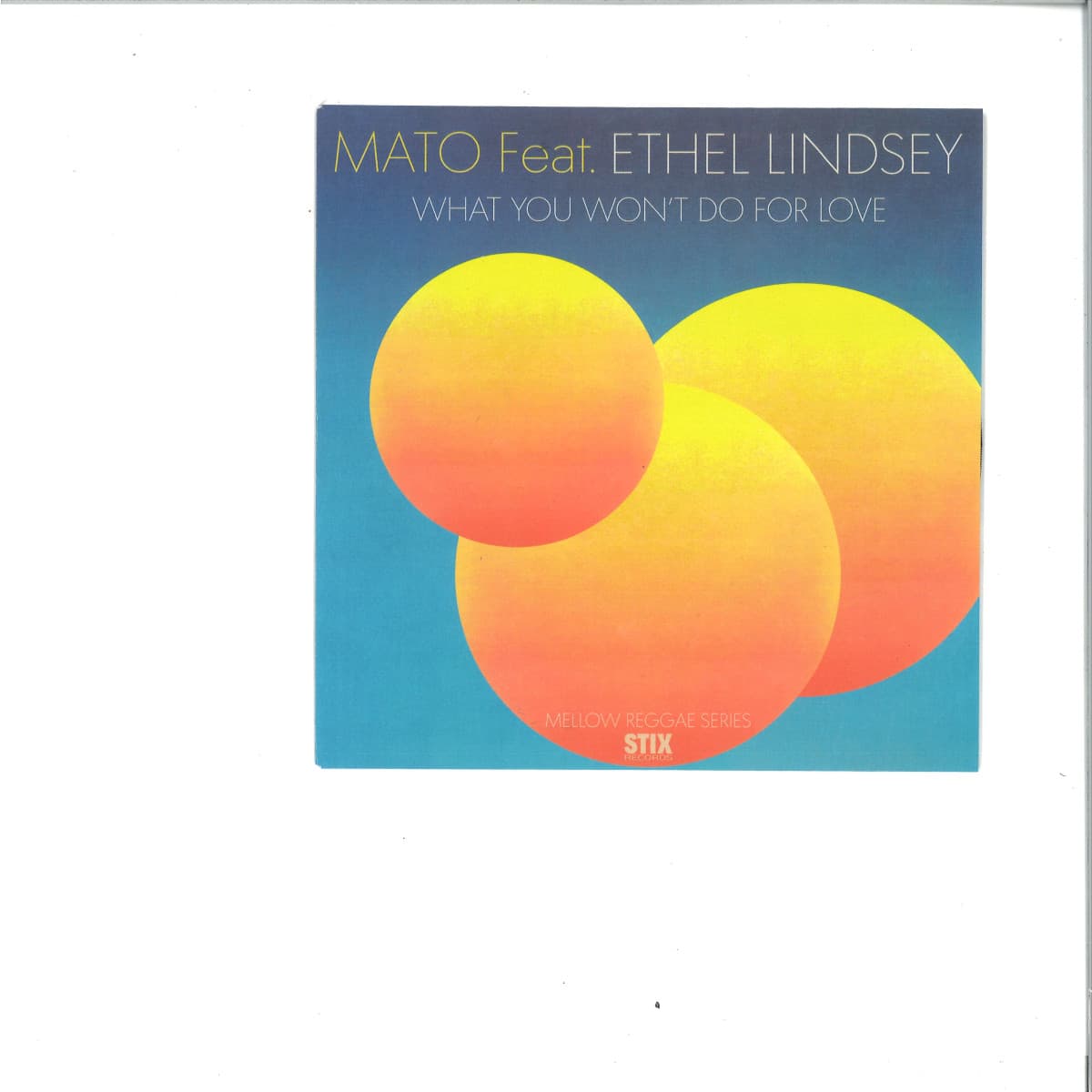 What You Won't Do For Love 7"