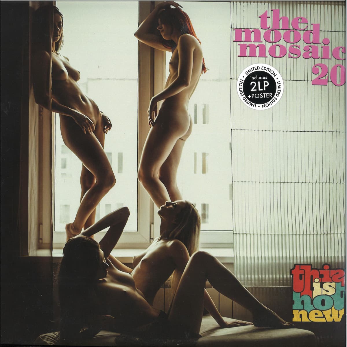 The Mood Mosaic 20 (2x12")