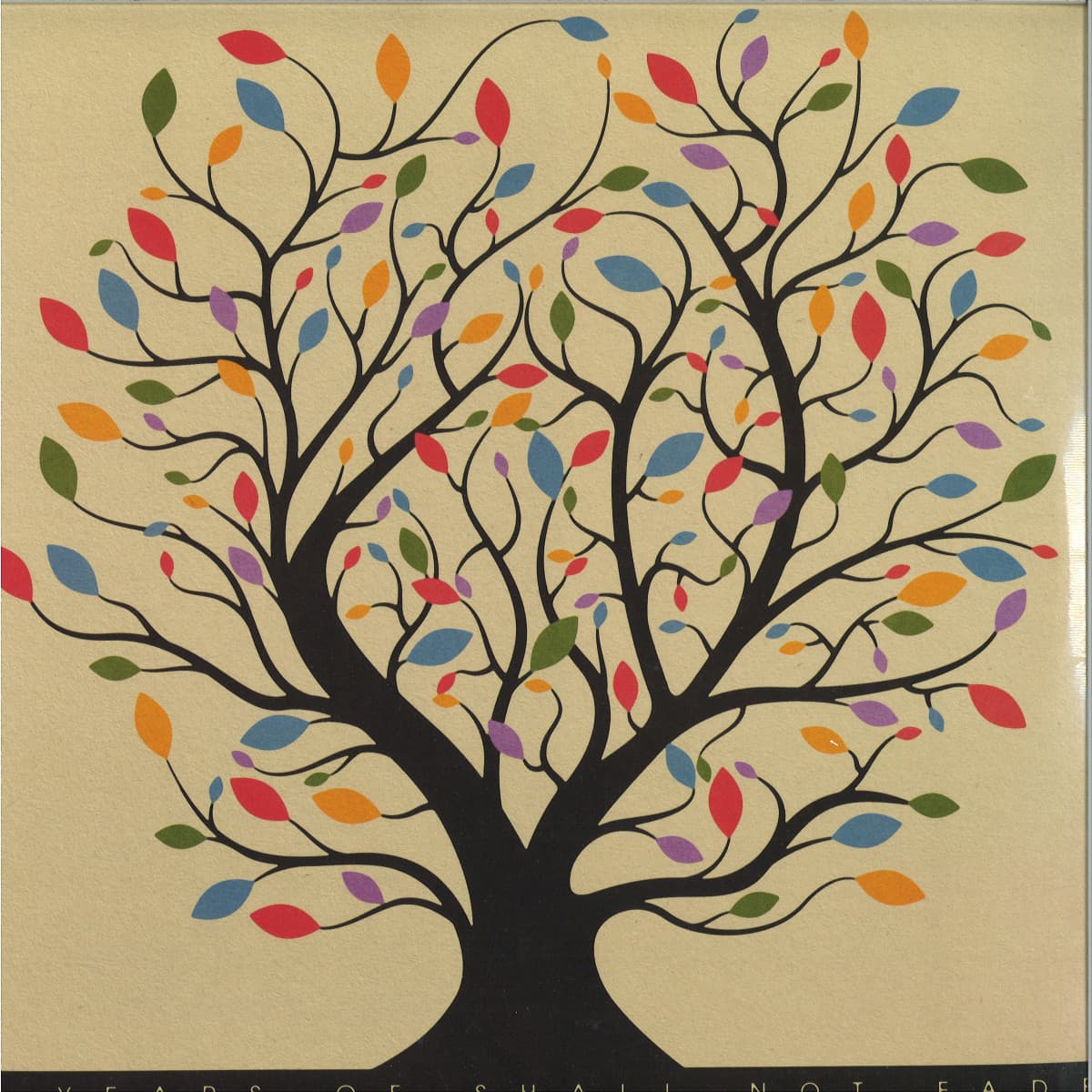 5 YEARS OF SHALL NOT FADE