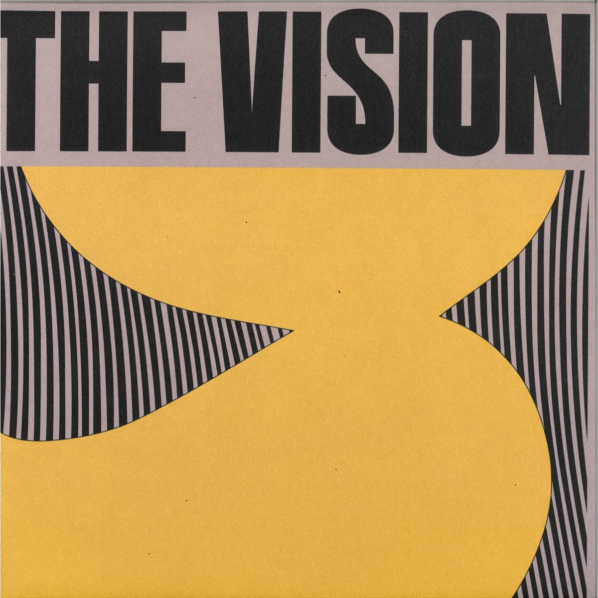 The Vision LP 2x12"
