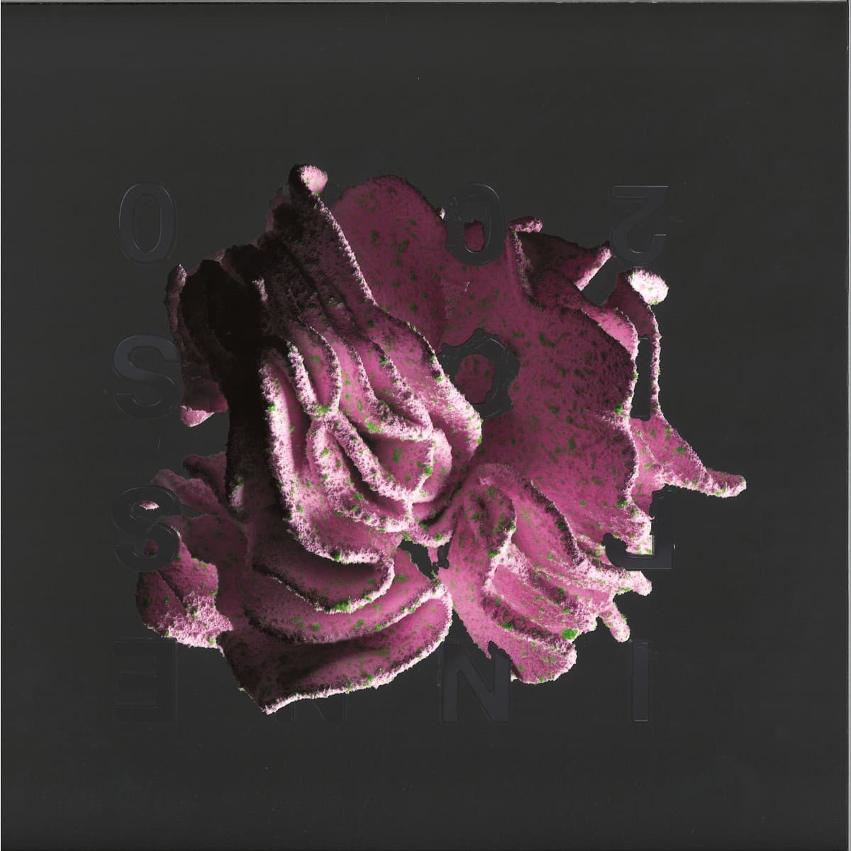 Forever In Our Favor EP