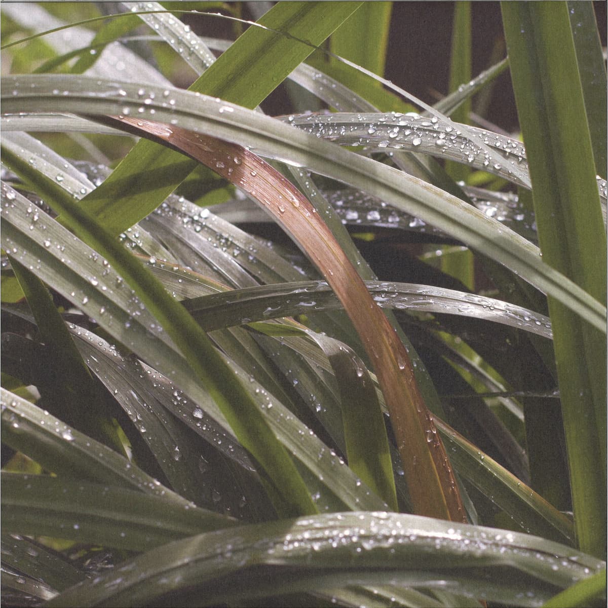 The life behind things EP