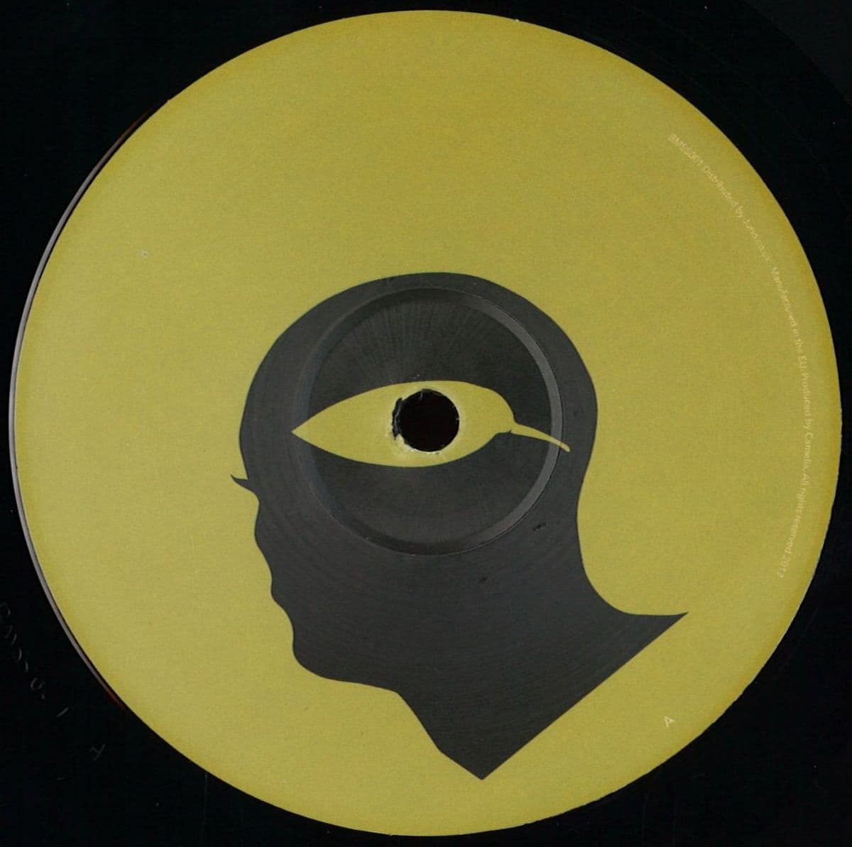 Botanic Minds Sunset Series