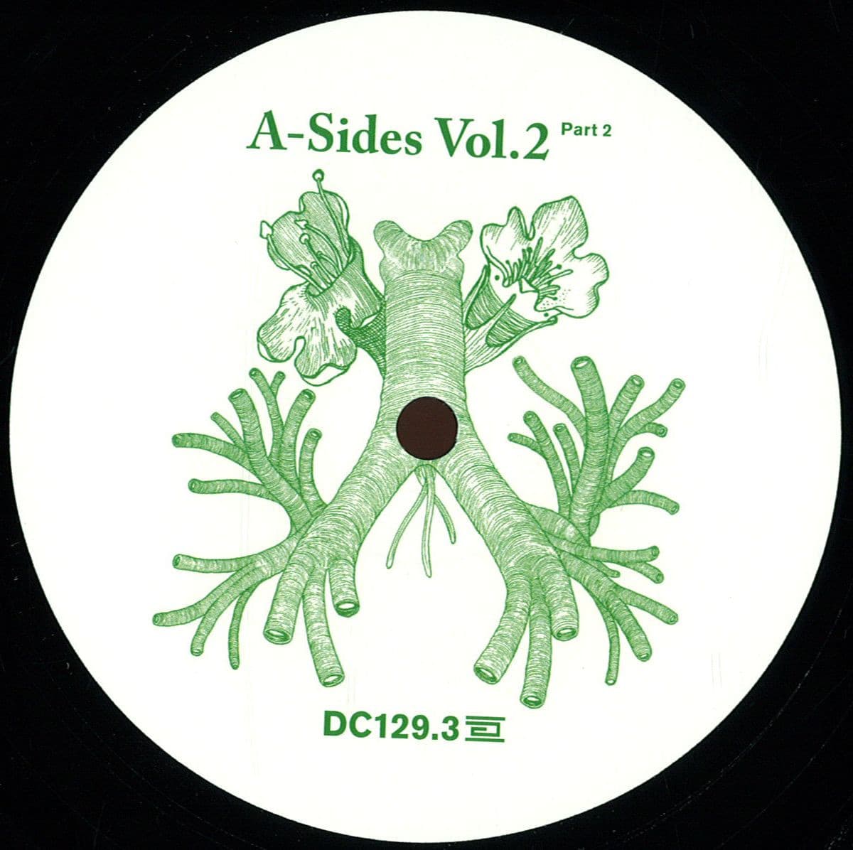 *3* A Sides Volume Ii Pt 2
