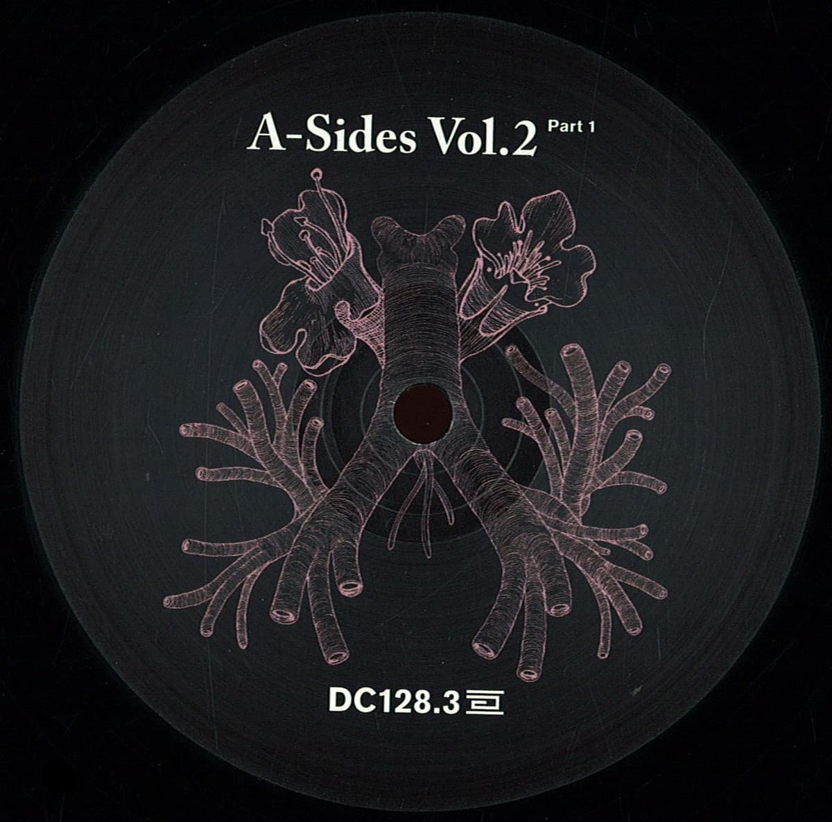 *3* A Sides Volume Ii Pt 1