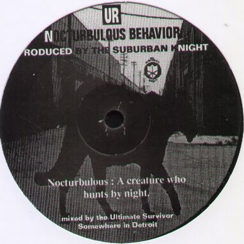 Nocturbulous Behavior
