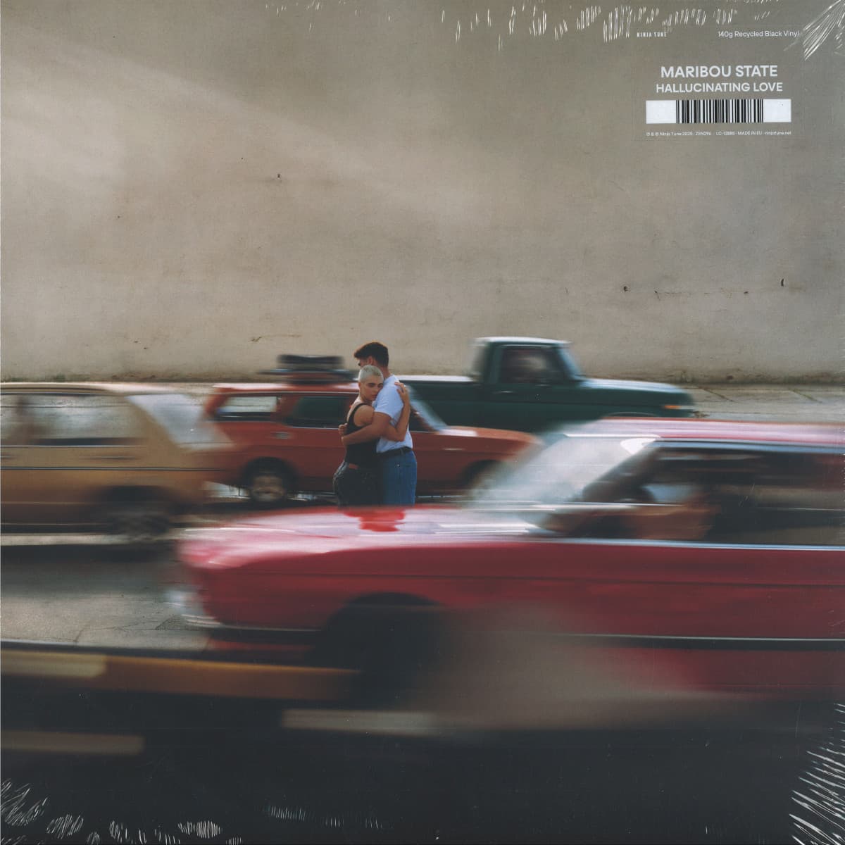 Hallucinating Love LP