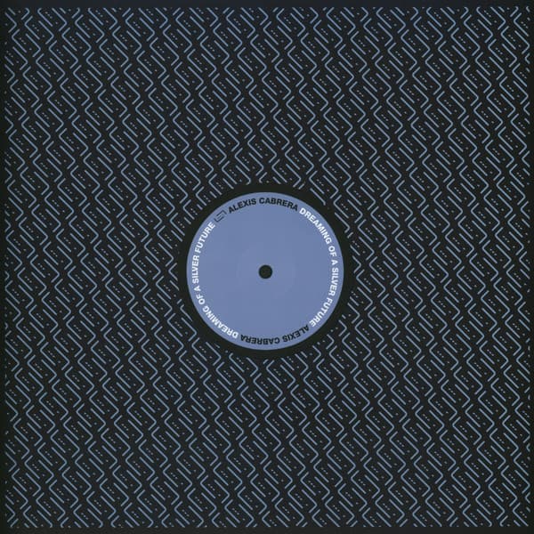 Dreaming Of A Silver Future