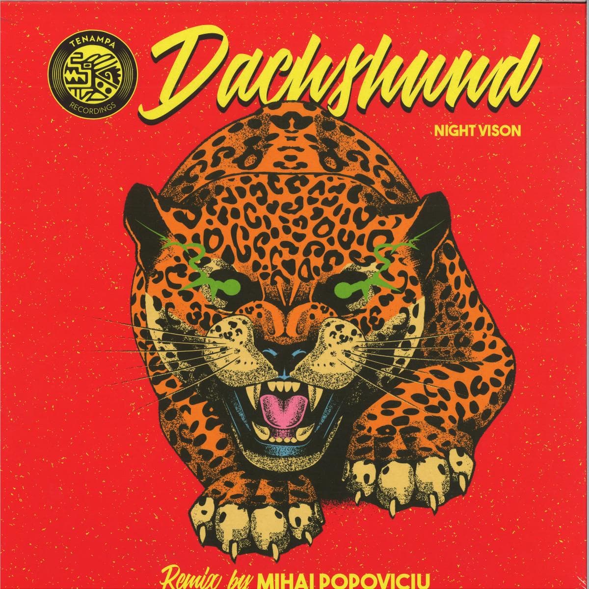 Night Vision (Mihai Popoviciu Remix)