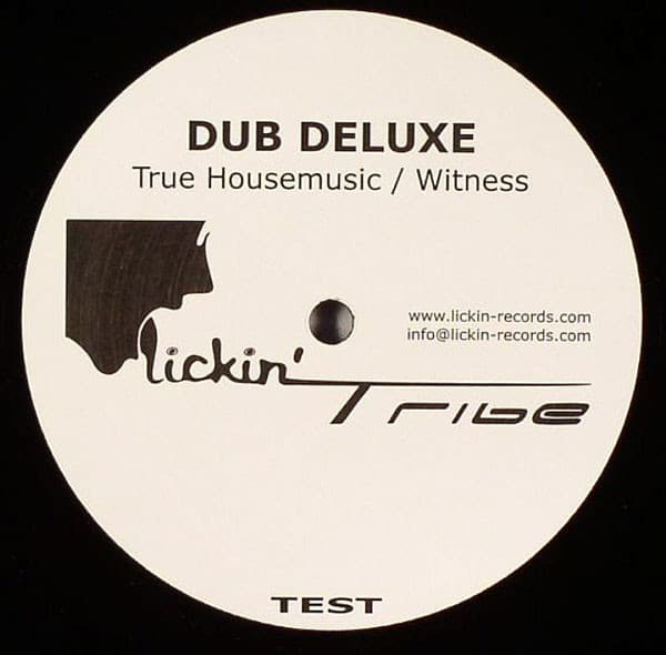 True Housemusic / Witness