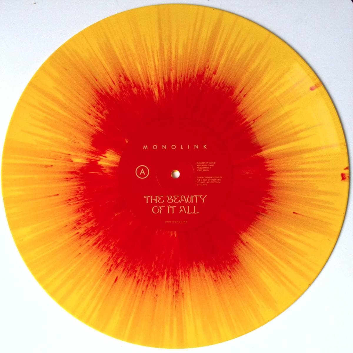 The Beauty Of It All LP 2x12"