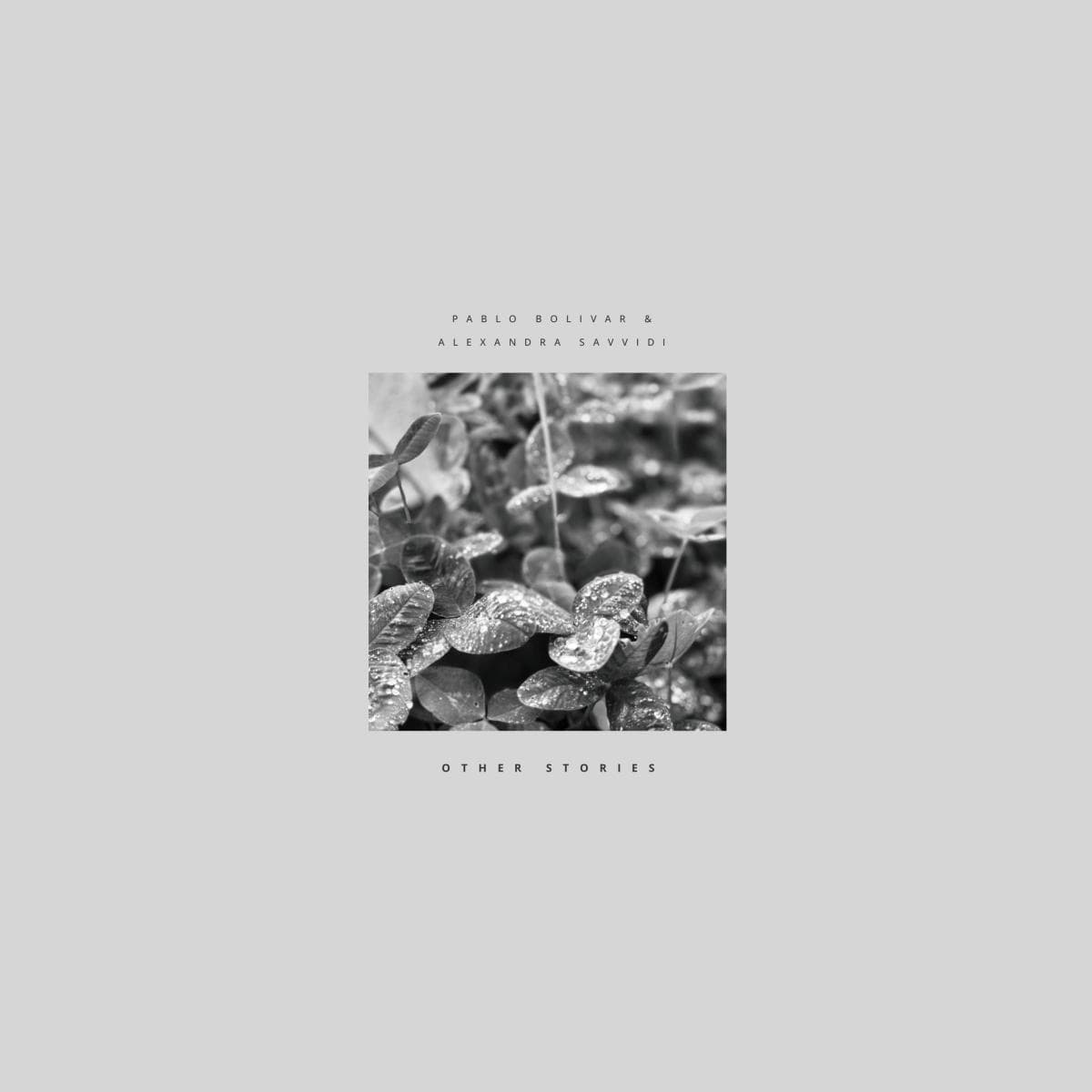 Other Stories LP (LP + Inlay)