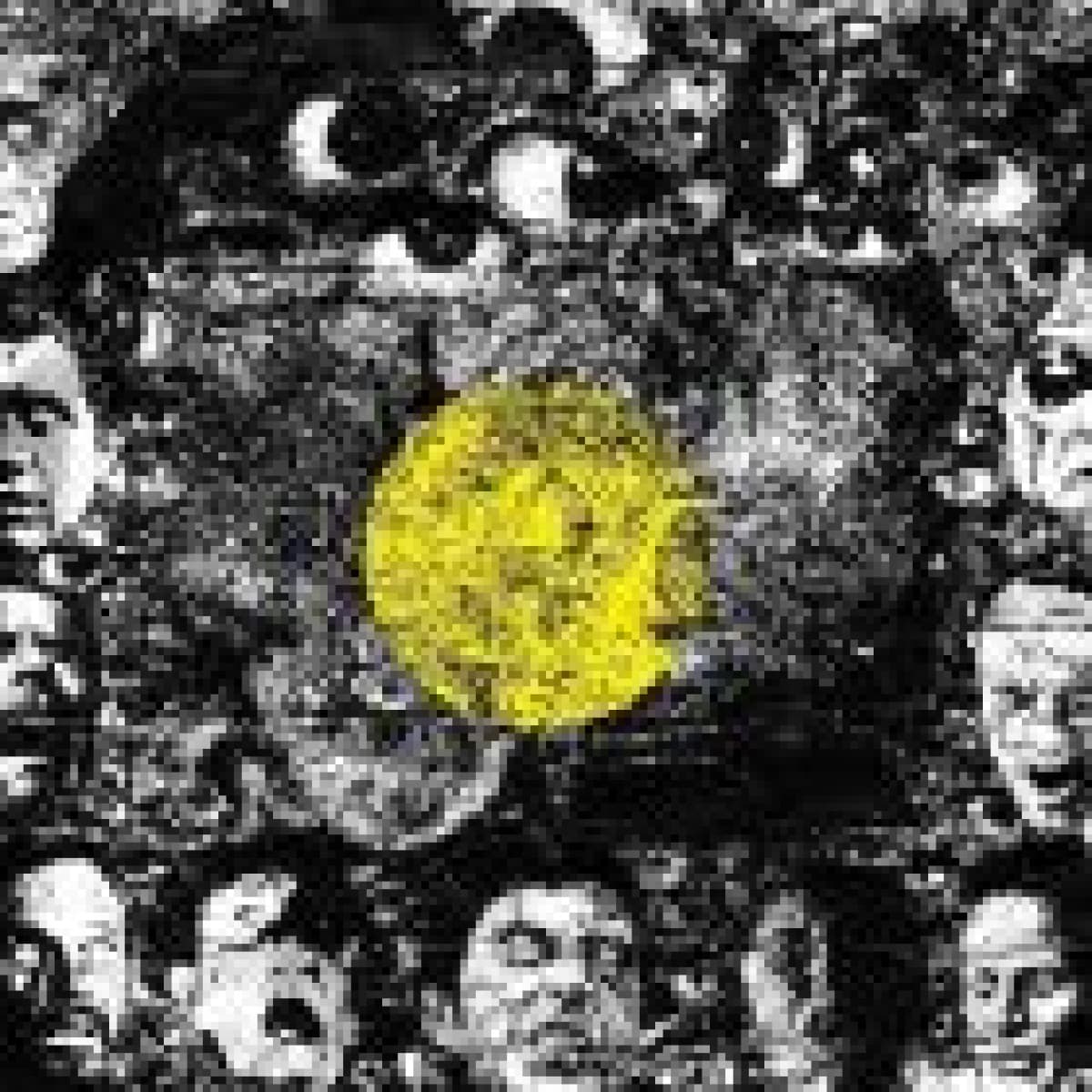 Acidboychair / Come Down Easy