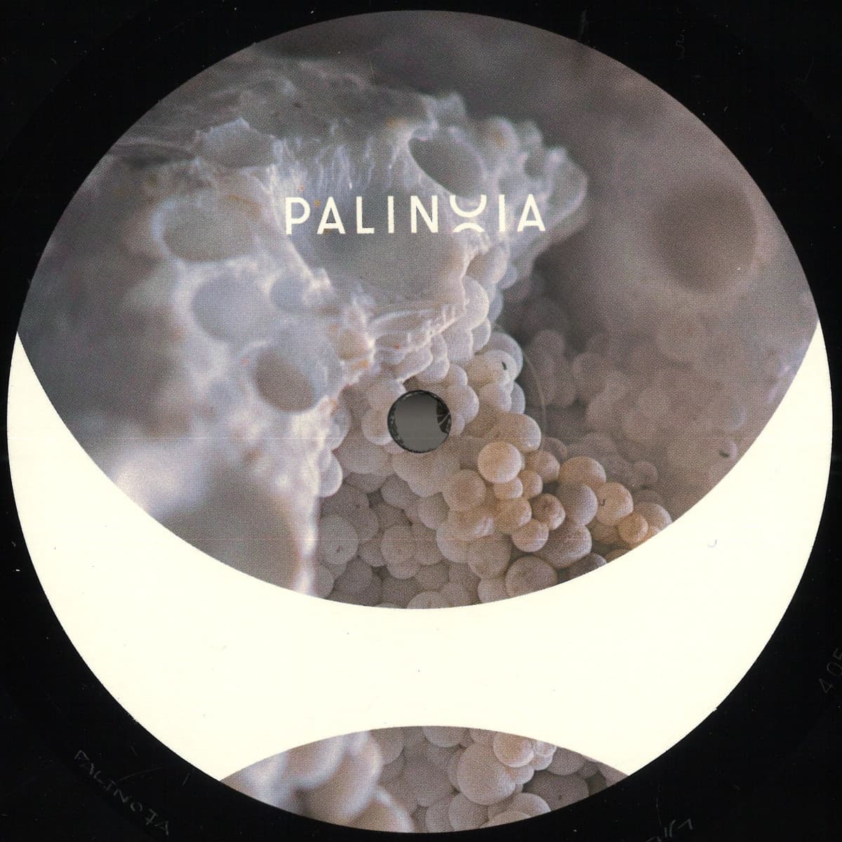 Perpetual Booty Grooves Vol.1