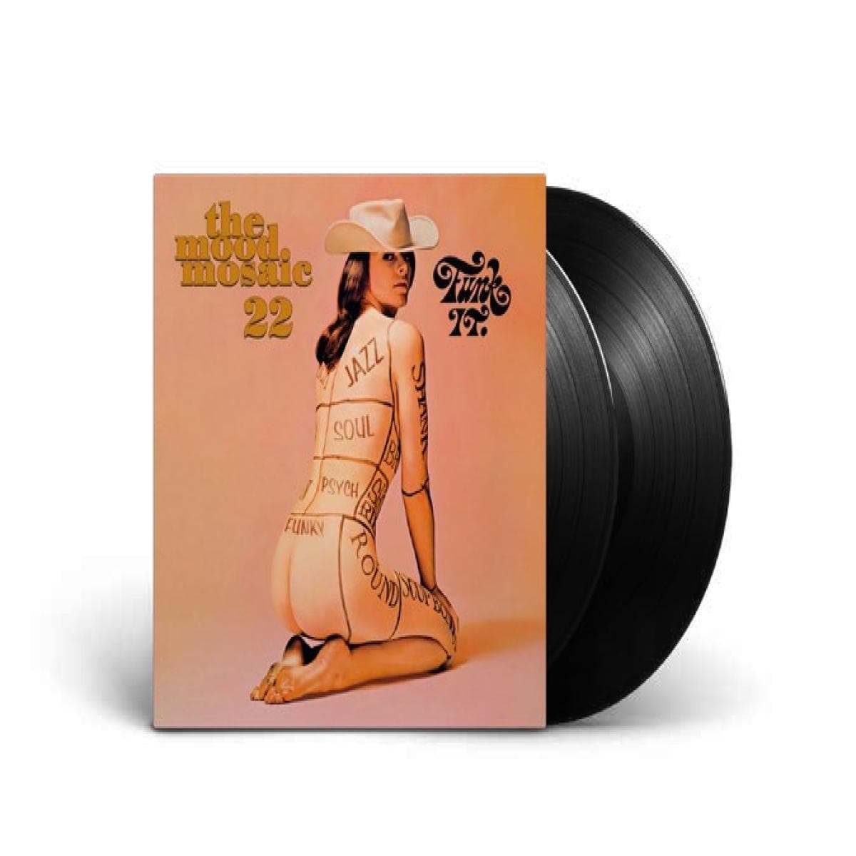 the mood mosaic 22 LP 2x12"