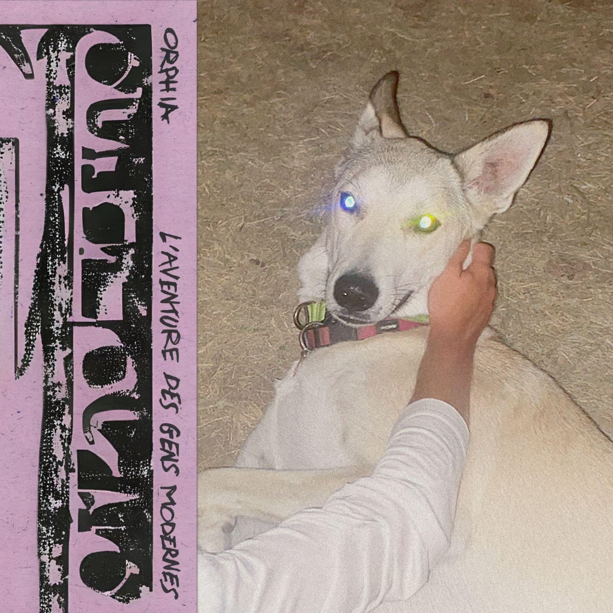 L’AVENTURE DES GENS MODERNES