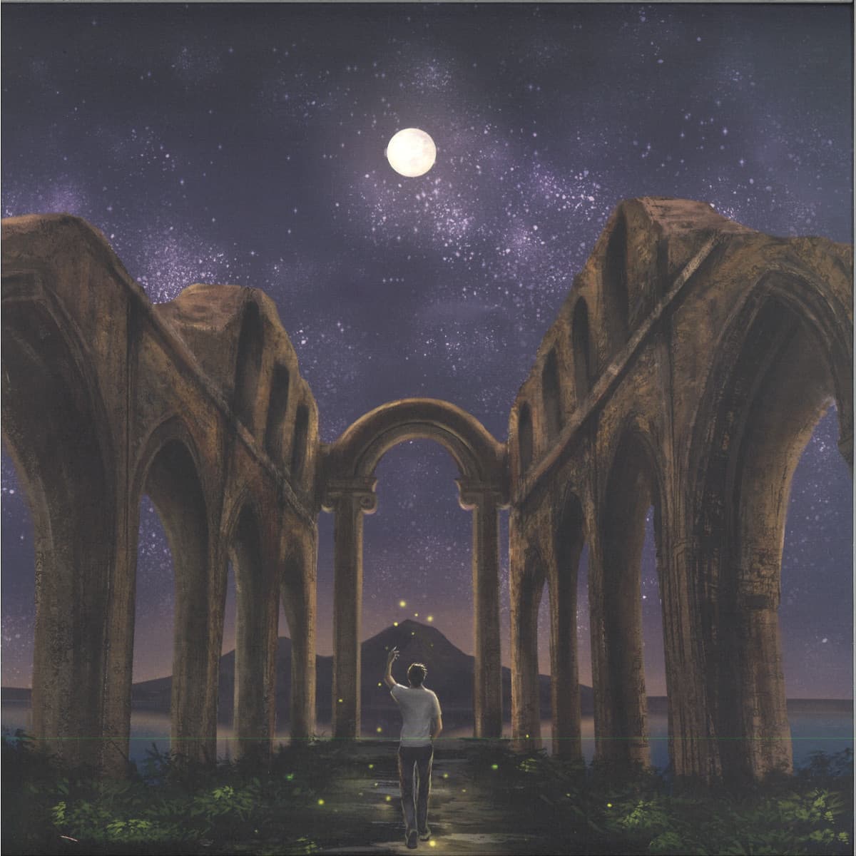 Butterflies In Funerals