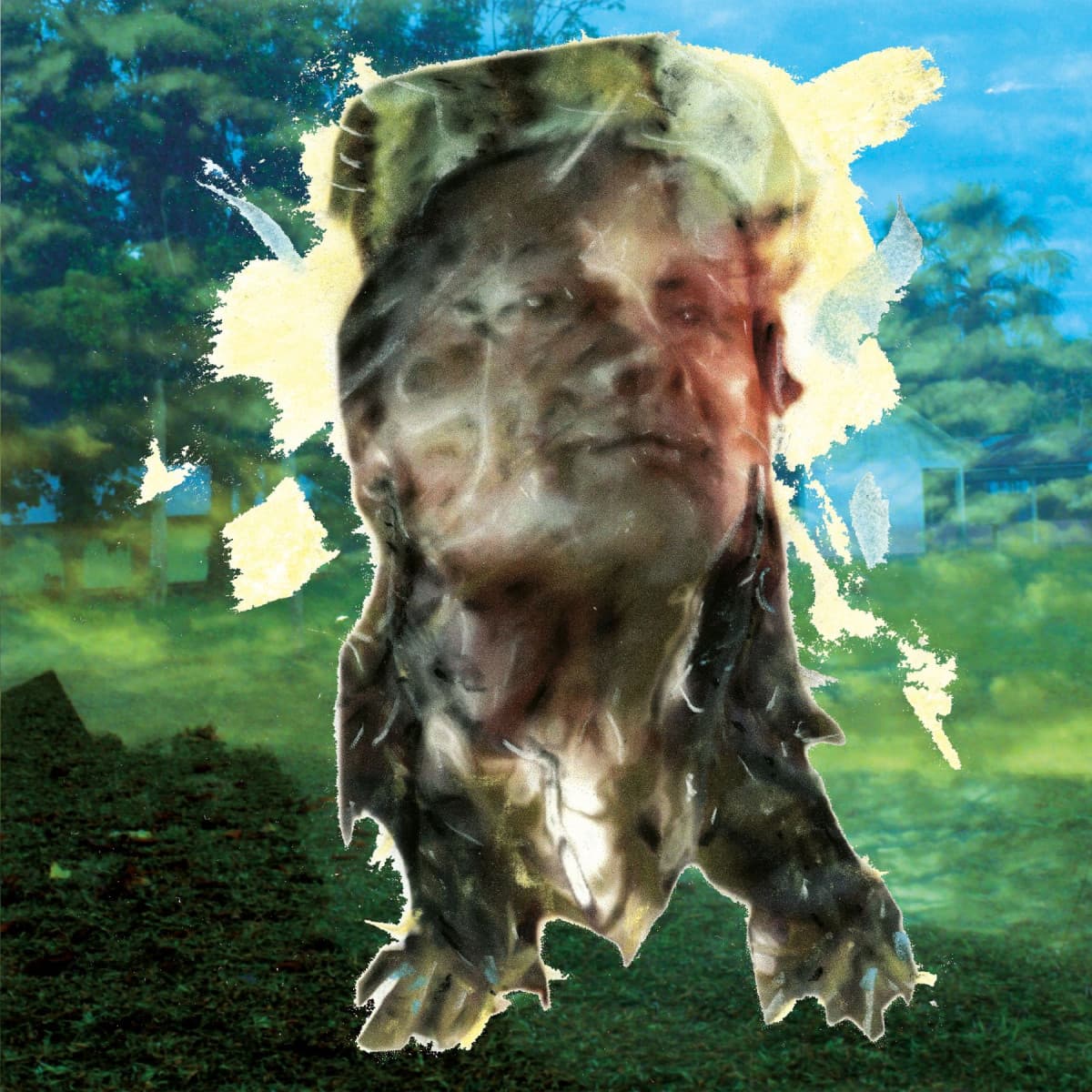 Los Bosquesinos (People of the Forests) LP