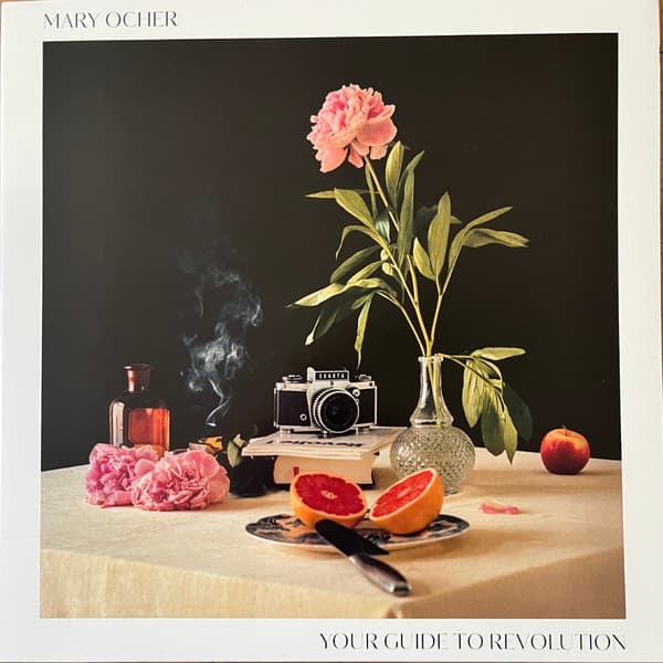 Your Guide to Revolution