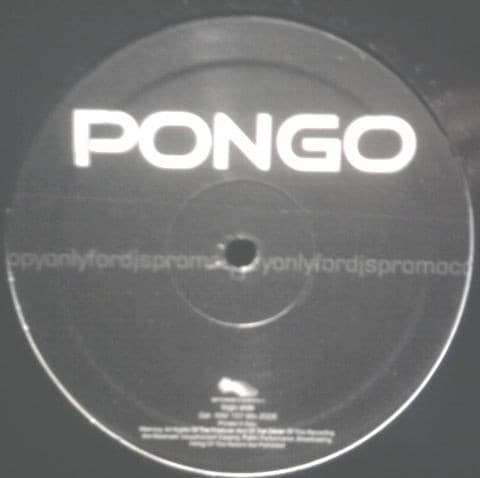 Pongo