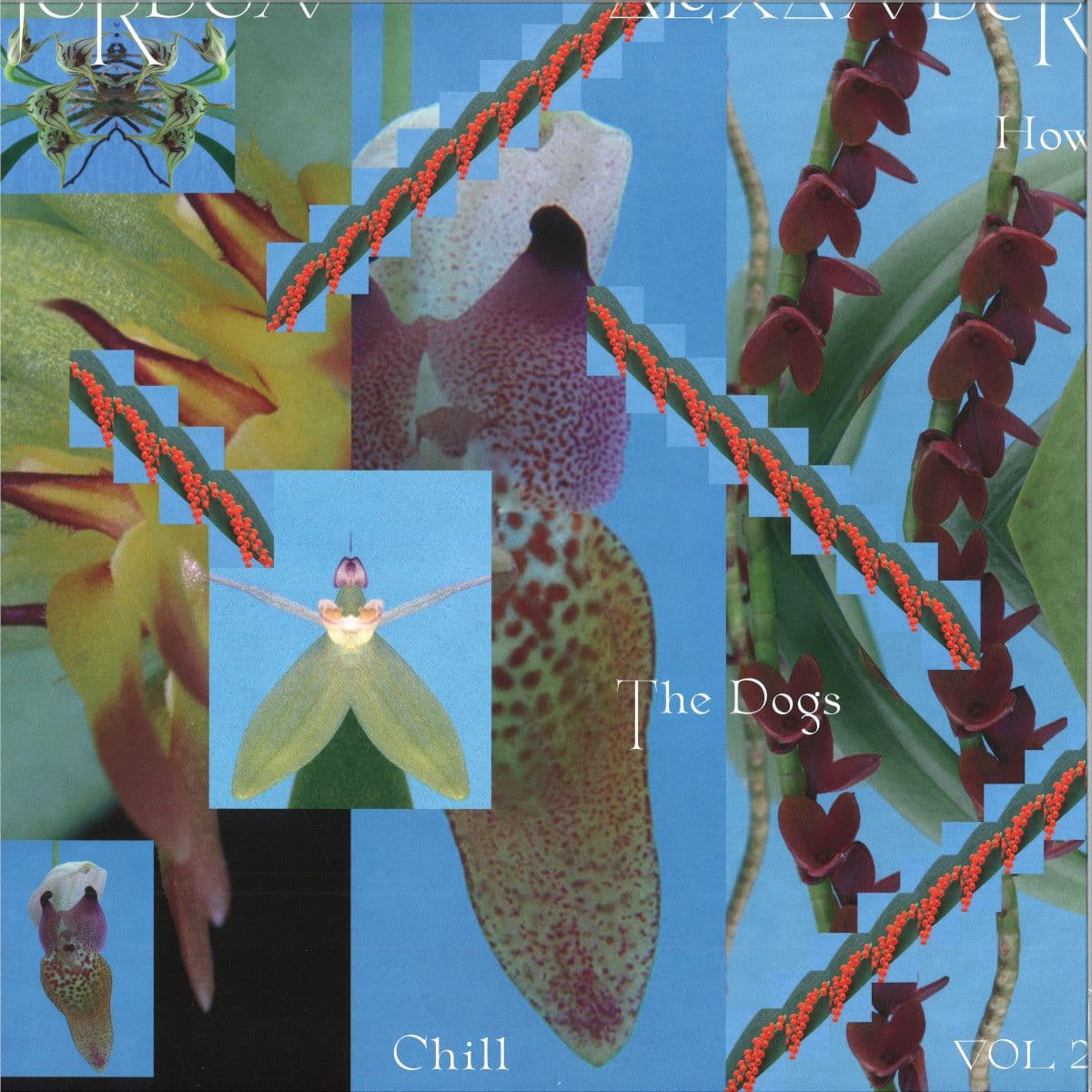 How The Dogs Chill Vol. 2