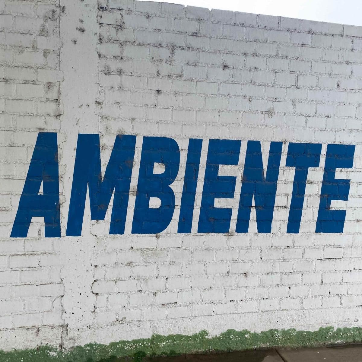 AMBIENTE