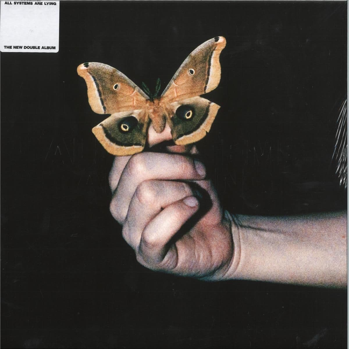 All Systems Are Lying LP 2x12"