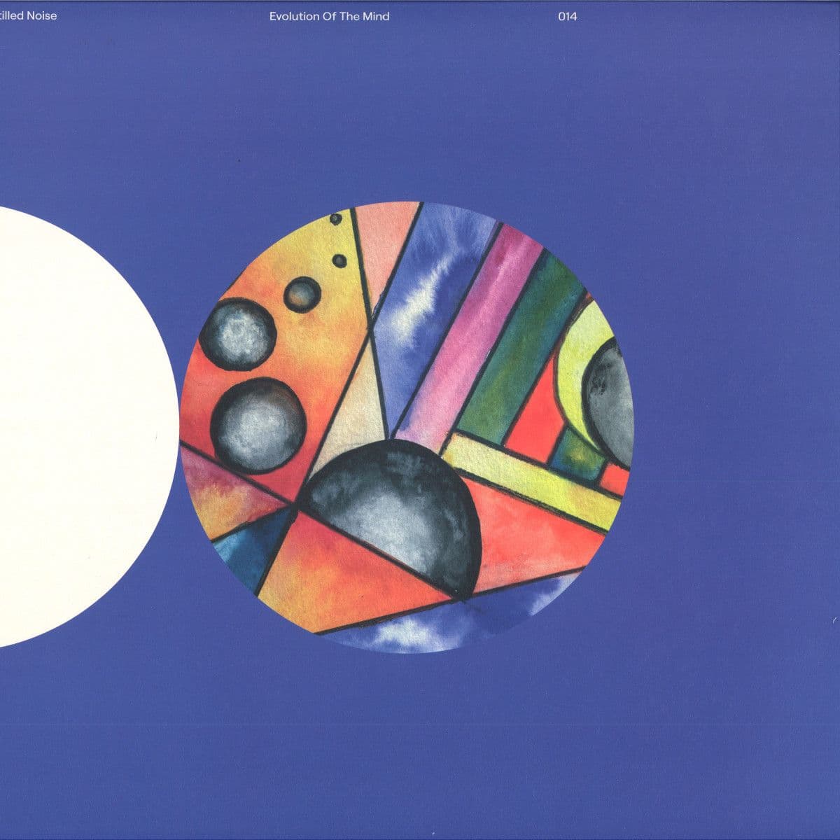 Evolution Of The Mind