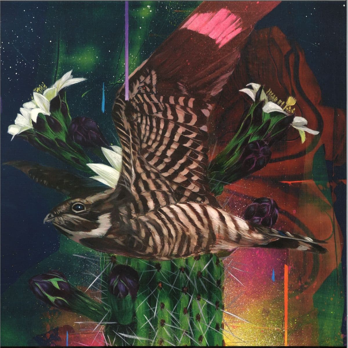 Playa Larga / 1900 Ocean Ave