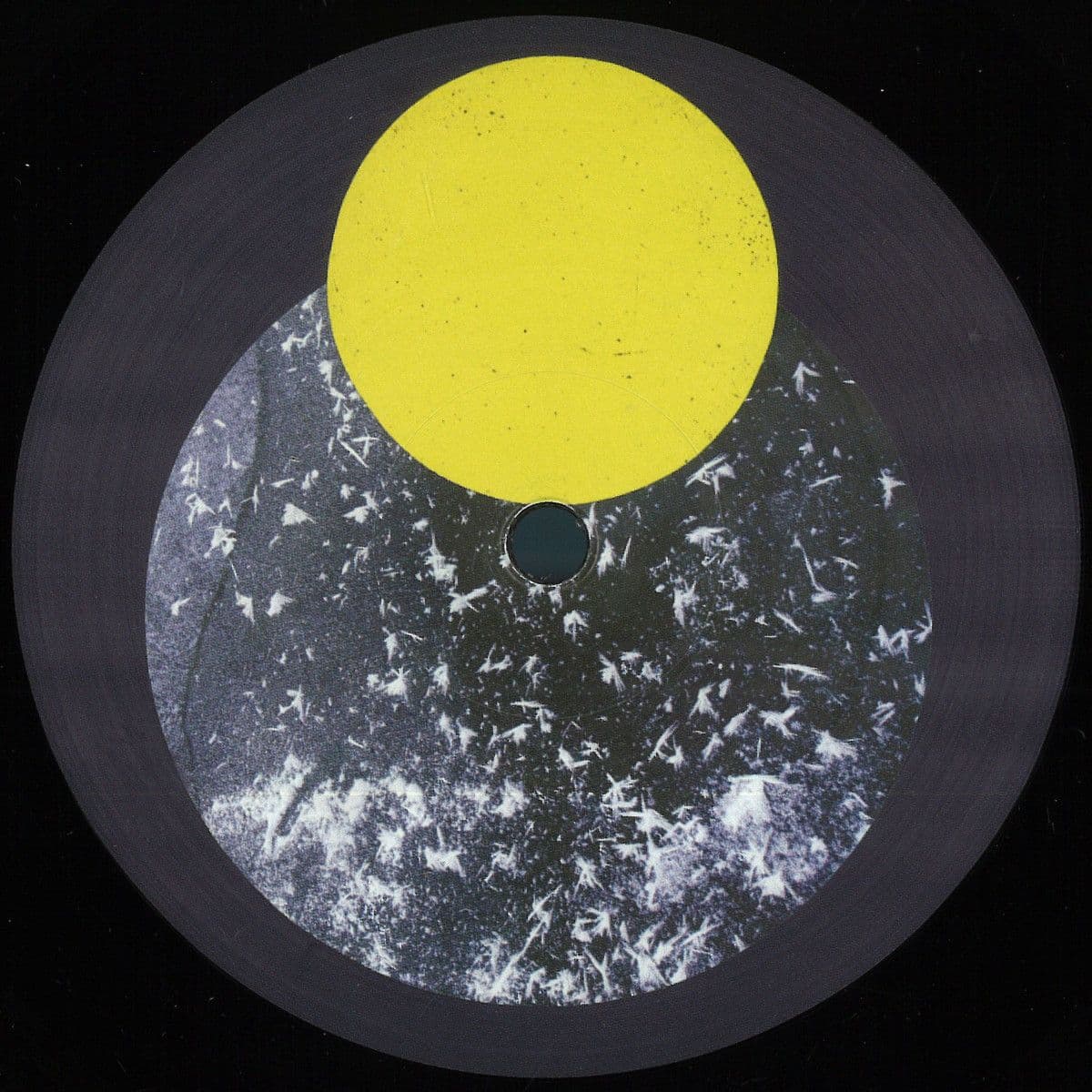 Farms are a Great Place to see Animals