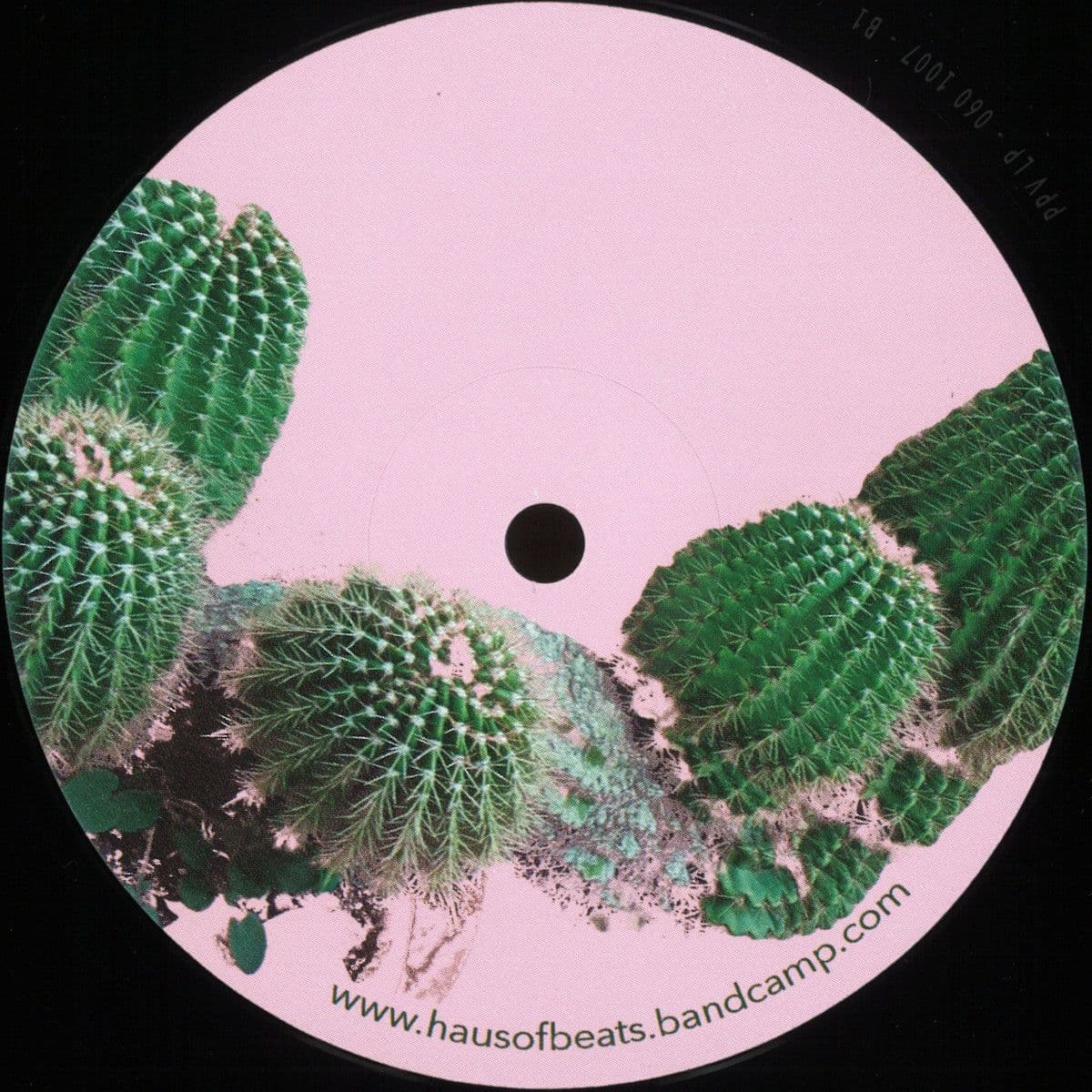 Echinopsis EP