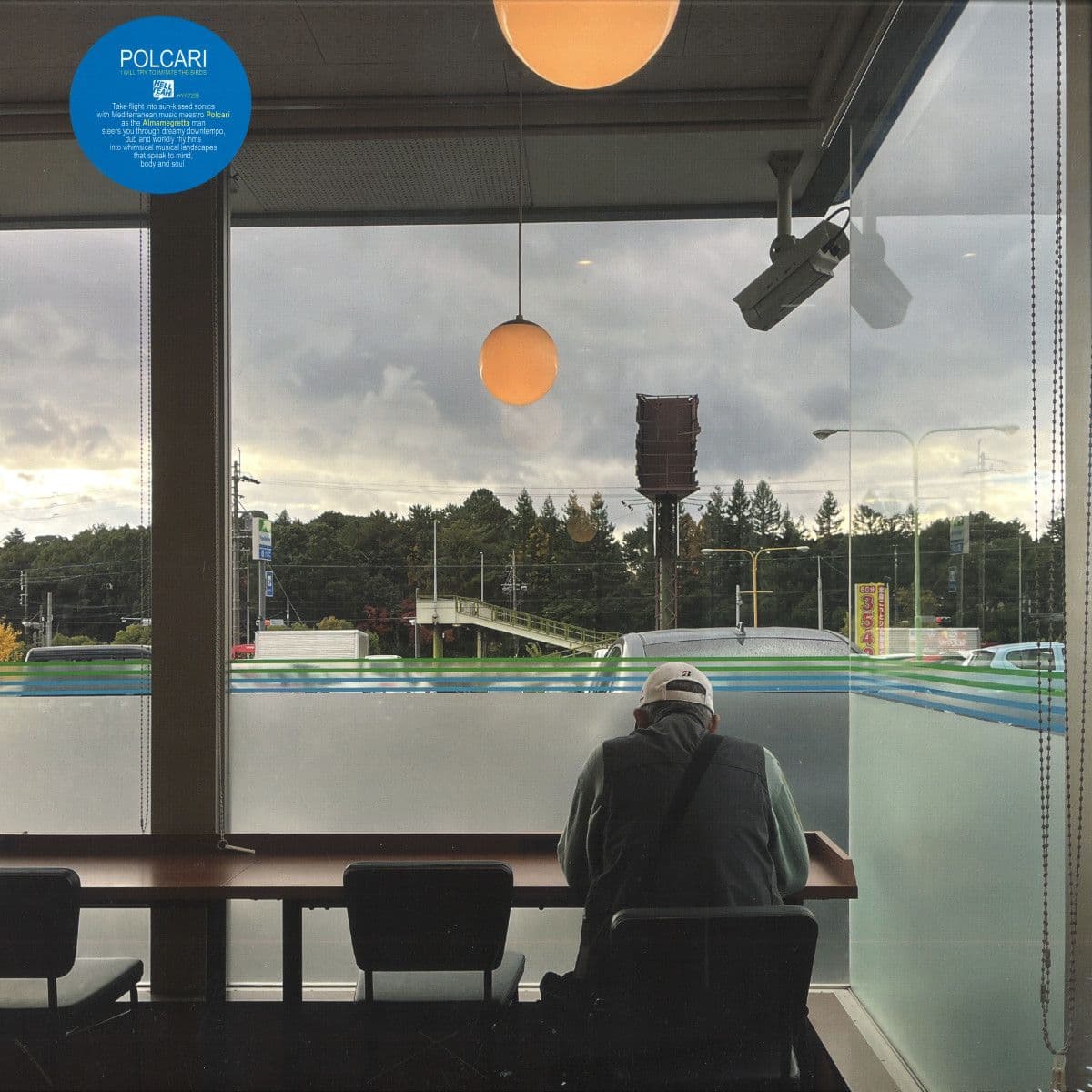 I Will Try To Imitate The Birds