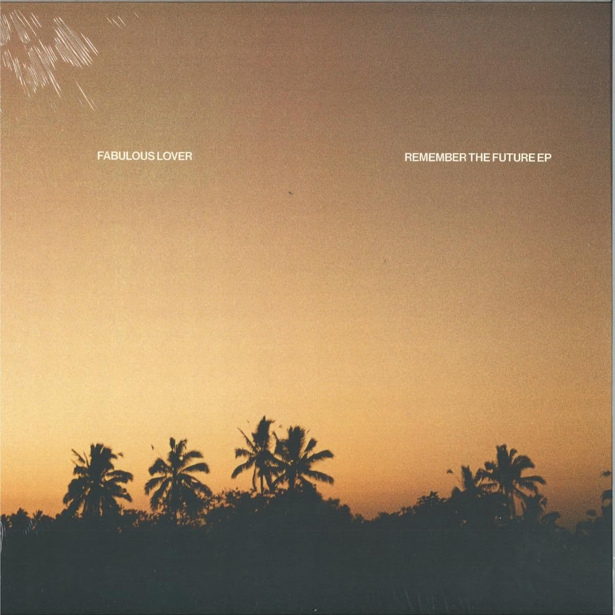 Remember The Future EP