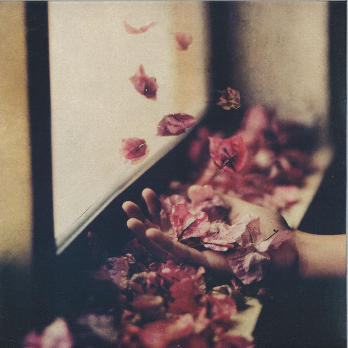 Vfntul Prin Salcii LP 2x12"