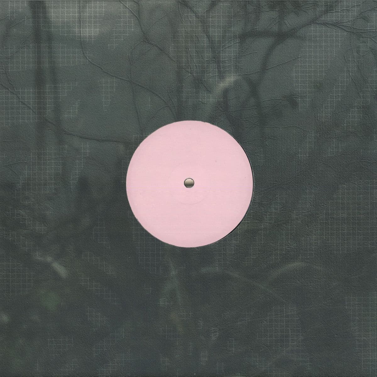 For the Early Hours of a World in Bloom