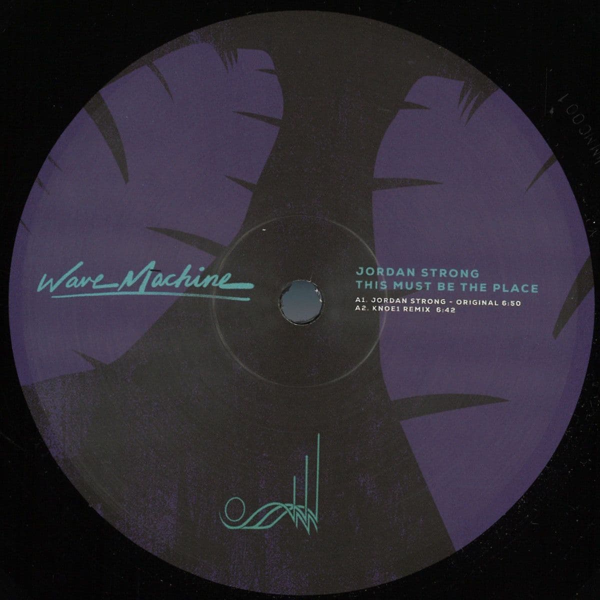 This Must Be The Place