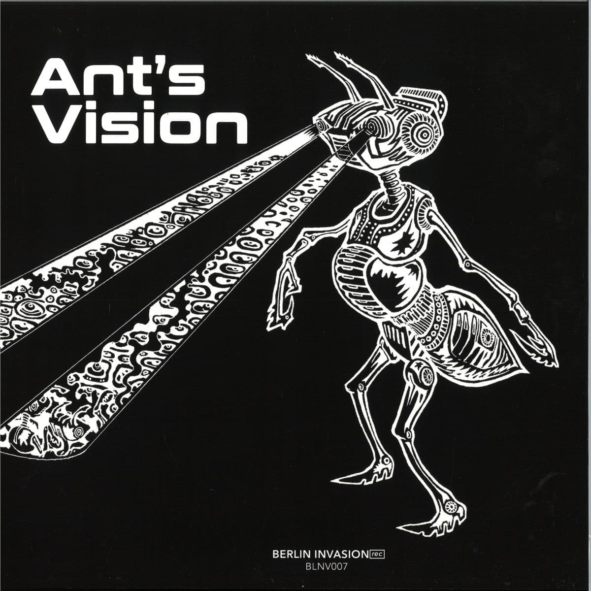 Ant's Vision