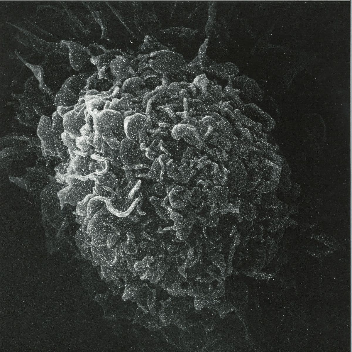 Romantic & Dead 2x12"