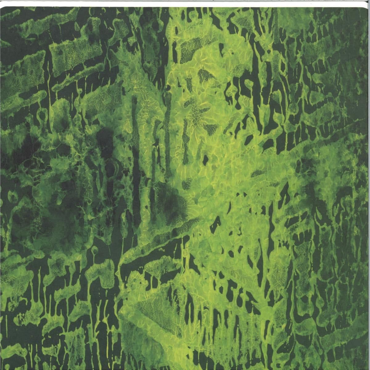 Energy Systems LP 2x12"