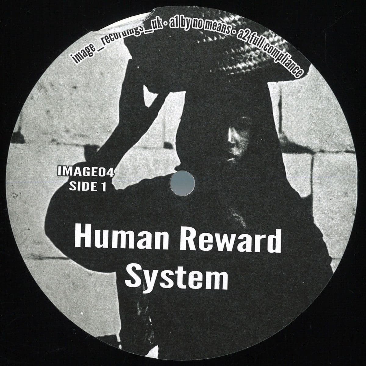 Human Reward System