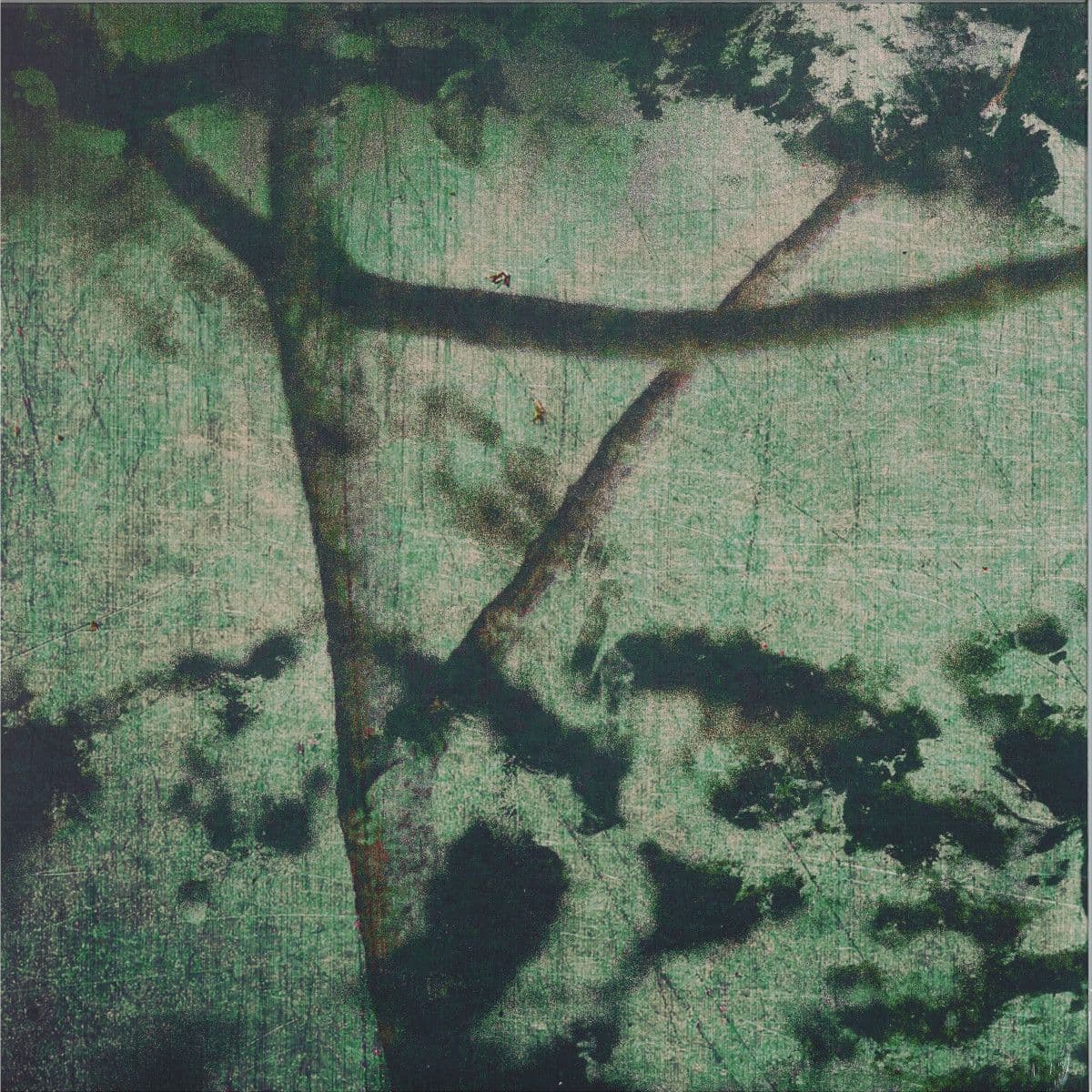 Suspension of Belief