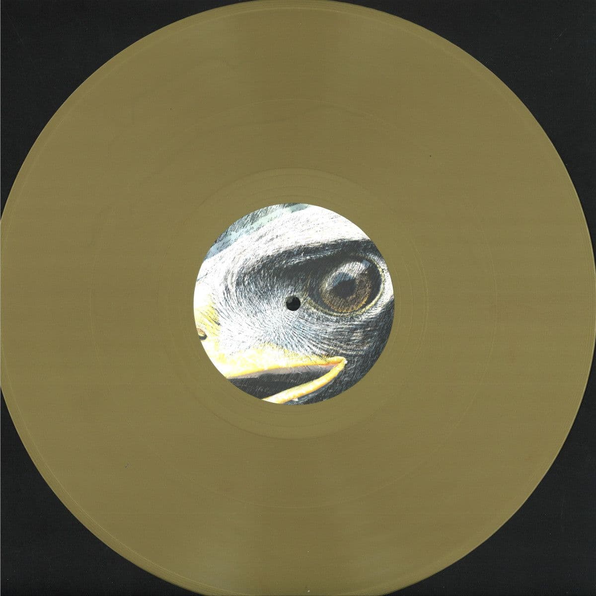 Yr Elen (Elen’s Hill)