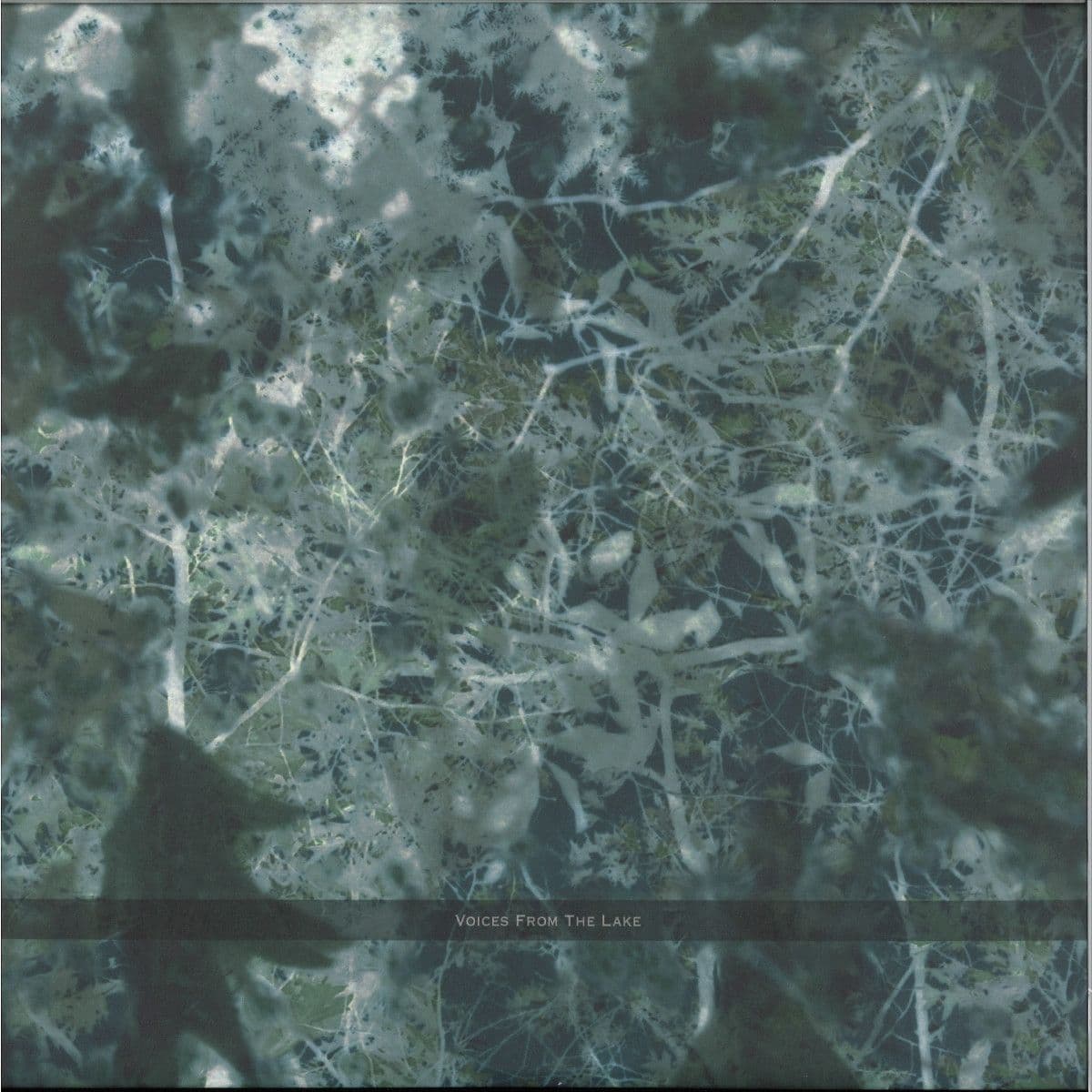 Voices From The Lake (2023 Edition) 4x12"