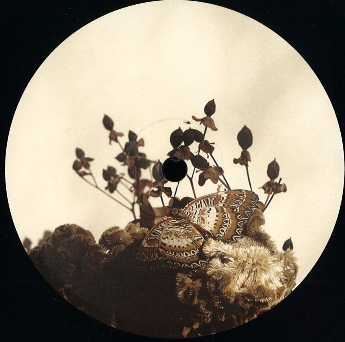 Transcended Being Ep