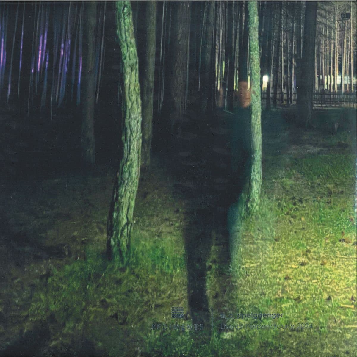 Live at Perpendicular 2024 (Lp 2x12")