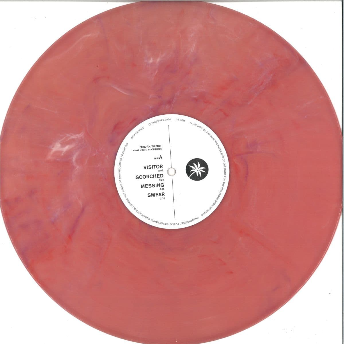 White Light / Black Noise