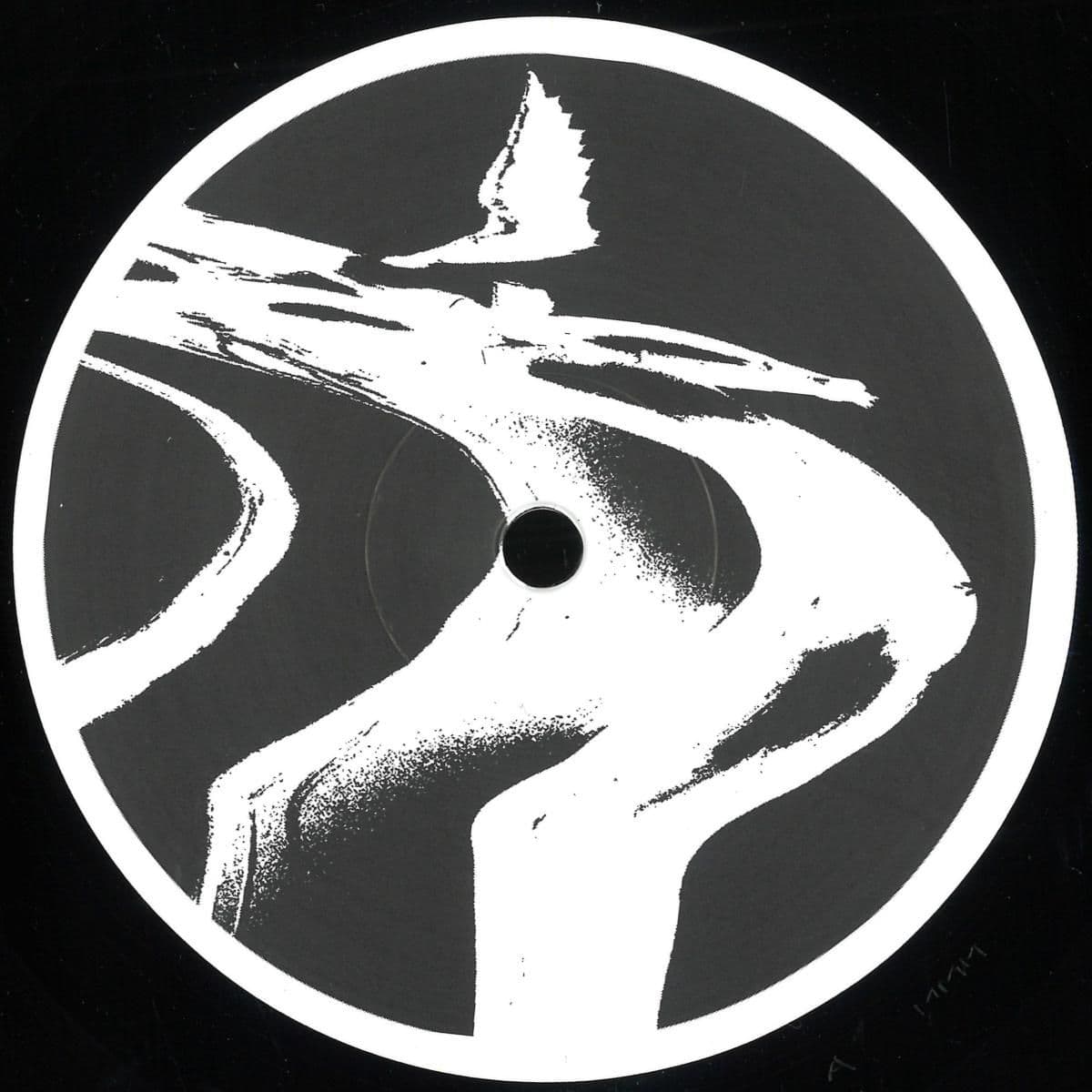 Voices From The Void