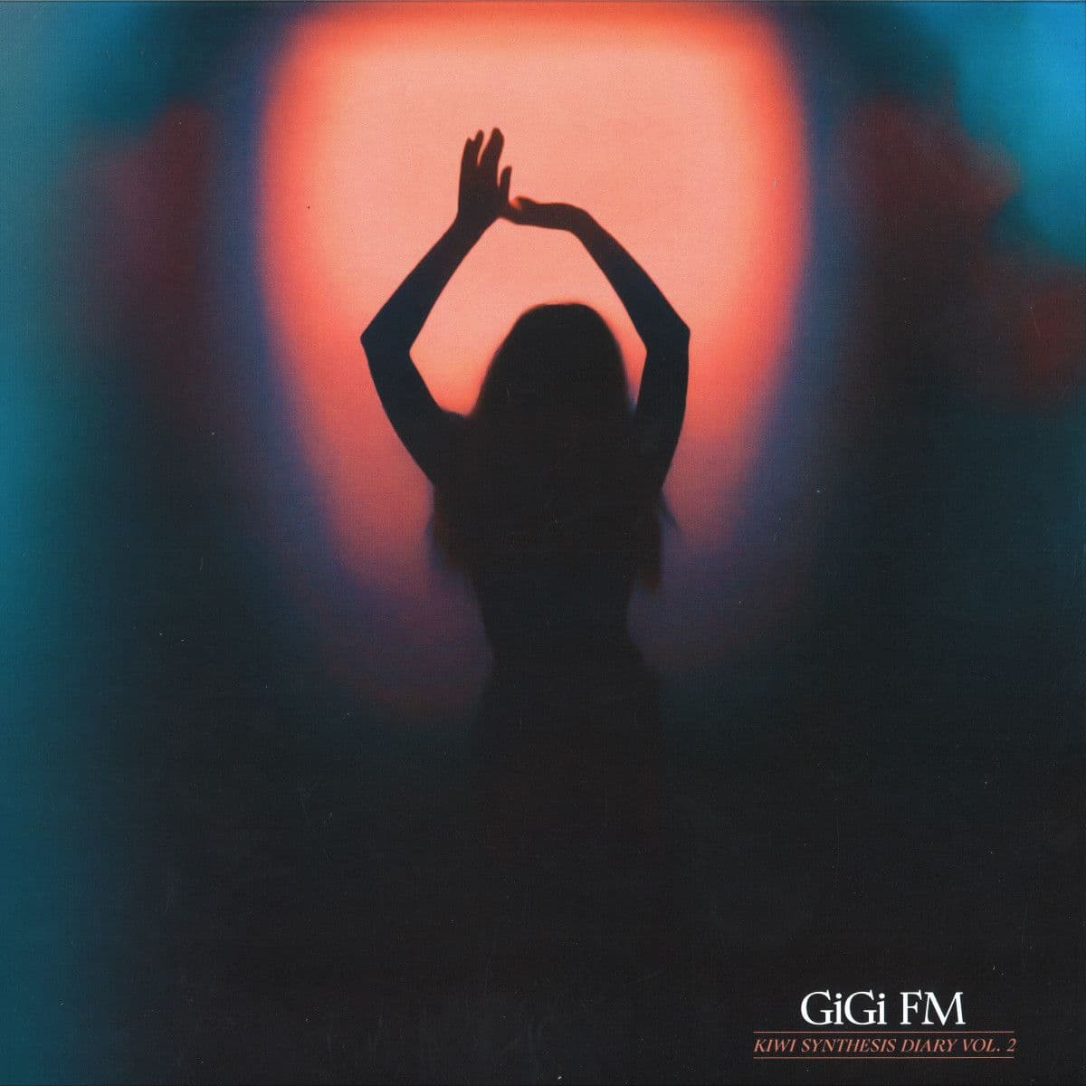 KIWI SYNTHESIS DIARY VOL.2